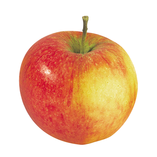 Pomme